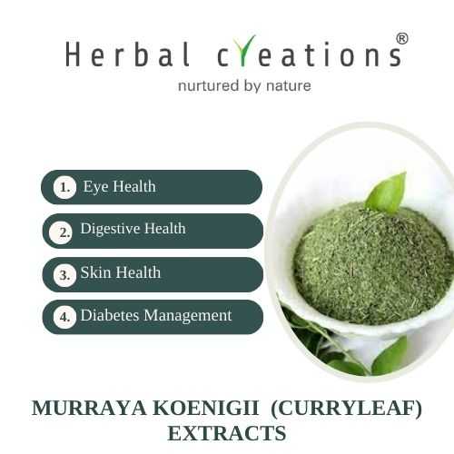 Murraya Koenigii (Curry leaf) Extracts Supplier And Manufacturer